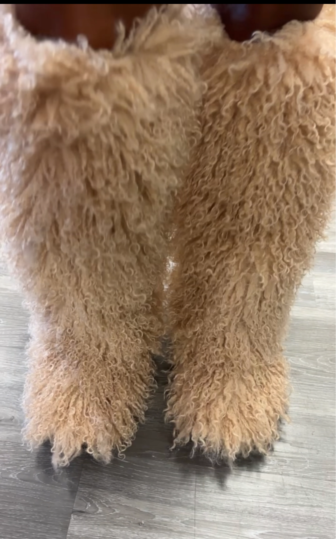 Fur Boots